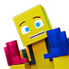 Pro Player